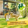 Gehölzdünger Solabiol Baum-,Strauch & Heckendünger Granulat Produktbild-Vorschau 7