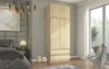 Framire Šatní skříň 90cm + nástavec B-9-N-TIP dub SONOMA Náhled obrázku produktu 3