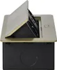 Prise encastrée 2x2P+Z, 2xUSB, bord plat en laiton - Voir les images du produit 7