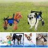A collage of images showing dogs, some in wheelchairs, with German text labels. Produktbild-Vorschau