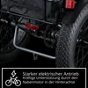 Remington R100 E Bike Dreirad 20 Zoll Elektrodreirad Produktbild-Vorschau 4
