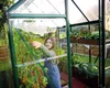 Palram - Szklarnia aluminiowa Canopia Hybrid 64 Green Podgląd zdjęcia produktu 16