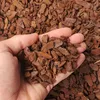 Dr.Soil écorce de pin décorative méditerranéenne, qualité Voir les images du produit 5