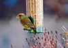 dobar Kleine Futtersäule mit Anflugstangen, Futterspender Produktbild-Vorschau 3