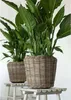 Rattanowa doniczka Drypot - ø 39 x 36 cm - Sadzarka z Podgląd zdjęcia produktu 3