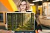 MuchoWow® Laptop Aufkleber Sticker Cover Wald - Baum - Produktbild-Vorschau 5