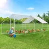 Pollaio Ikodm con recinto all'aperto e tetto, 3x6x2 m, in Anteprima dell’immagine prodotto 6