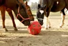 Kerbl HeuBoy rot Futterspielball Heuball ö 40cm für 3kg Heu Anteprima dell’immagine prodotto 4