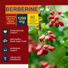 Berberin extrakt 1200 mg (120 kapslí) srdce, krevní oběh, Náhled obrázku produktu 3
