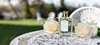 Floris White Rose Perfume 3.4oz EDT Spray for Women Produktbild-Vorschau 5