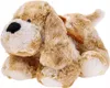 Maskotka Pies Roddy 40cm 10645 Podgląd zdjęcia produktu 5