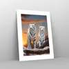 Poster - Poster ohne Rahmen - Tiger weiß Rock Produktbild-Vorschau 7