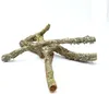BioBranch Ramo di quercia da sughero di 60 cm, diritto o Anteprima dell’immagine prodotto 8