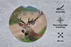 MuchoWow® Mauspad Mousepad Hirsche - Farne - Natur 50x50 cm Produktbild-Vorschau 2