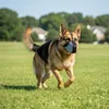 Maulkorb für Hunde Soft Mesh atmungsaktiv verstellbar Produktbild-Vorschau 6