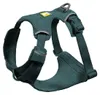 Ruffwear 3072-444S, Hund, Zugfreier Gurt, S, Türkis, Nylon, Produktbild-Vorschau 2
