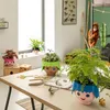 LECHUZA plantpot OJO, oceaanblauw | Plantpot voor kinderen Productafbeelding-voorbeeld 6
