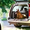 Relaxdays Hundegitter Auto, Schutzgitter Hund, zum Klemmen, Produktbild-Vorschau 3