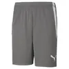 Puma Teamliga Shorts Kinder - Grau Produktbild-Vorschau 1