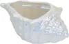 Bol en céramique coquille, perle blanche, 8x19 cm Voir les images du produit 1