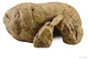 Exo Terra PT2930, Höhle, 1 Stück(e), 95 mm, 134 mm, 61 mm Produktbild-Vorschau 12