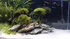 Pietre decorative per acquario, rocce naturali effetto Anteprima dell’immagine prodotto 5