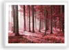 Gerahmtes Poster - Weißer Rahmen - Wald Rot Bäume - 70x50 Produktbild-Vorschau 1