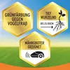 Substral Trávníkové osivo The Sunny 1,125 kg Náhled obrázku produktu 15