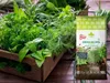 -Erde für Kräuter und Gemüse - 10l - Organisch - Produktbild-Vorschau 6