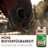 Supravit Bronchialkräuter Pferd  1 Liter | 100% natürlich | Produktbild-Vorschau 2