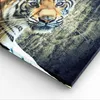 Bild auf Leinwand - Leinwandbild - Indien stein tiger wild Produktbild-Vorschau 5
