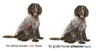 Karlie Hunde Regenmantel Classic, Größe:60 cm Produktbild-Vorschau 1