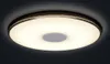 TRIO 628915001, 4000 lumen Productafbeelding-voorbeeld 24