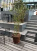 KOTARBAU® 4er Set Blumentopf aus Terrakotta ⌀ 15 cm Produktbild-Vorschau 5