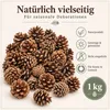 Tannenzapfen 1 kg ca. 50-70 Stk 5-6 cm Pinus nigra Produktbild-Vorschau 6