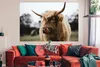 MuchoWow® Poster Schottisches Hochlandrind - Tiere - Hörner Produktbild-Vorschau 2