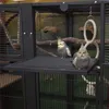 Vogelvoliere Palace II · Antik von Montana Cages Produktbild-Vorschau 3