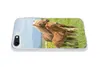 MuchoWow® Handyhülle Schutzhülle Hülle für iPhone 8 Pferde Produktbild-Vorschau 5