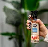 CAYON Diffuseur de parfum, Pomme au miel, 250 ml Voir les images du produit 7