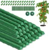 30x Pflanzstäbe Rankhilfe, Kunststoff Beschichtetes Produktbild-Vorschau 1