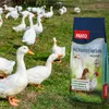 PANTO WGK Wassergeflügelkorn (3 mm gekörnt) 25kg - für Produktbild-Vorschau 3
