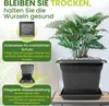 Tomatentopf eckig anthrazit mit Untersetzer 8 Stück, Produktbild-Vorschau 6
