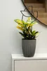 A potted plant sits on a white cabinet next to a decorative mirror. Podgląd zdjęcia produktu