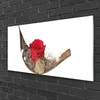 Acrylglasbilder 100x50 Wandbild Druck Rose Pflanzen Produktbild-Vorschau 2