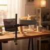 Relaxdays kattenbed voor op het bureau, in hoogte Productafbeelding-voorbeeld 3