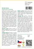 SAFLAX - zvonek strom - Paulownia tomentosa - 200 Semena Náhled obrázku produktu 3