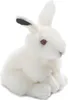 A plush toy rabbit sitting on a white background. Produktbild-Vorschau