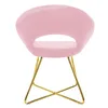 A pink velvet chair with a gold metal frame. Náhled obrázku produktu
