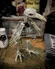 Verrottetes Raben Skelett als Halloween Deko 20 cm Produktbild-Vorschau 6