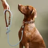 Handgeflochtenes Hundehalsband aus Echtleder - Premium Produktbild-Vorschau 8
